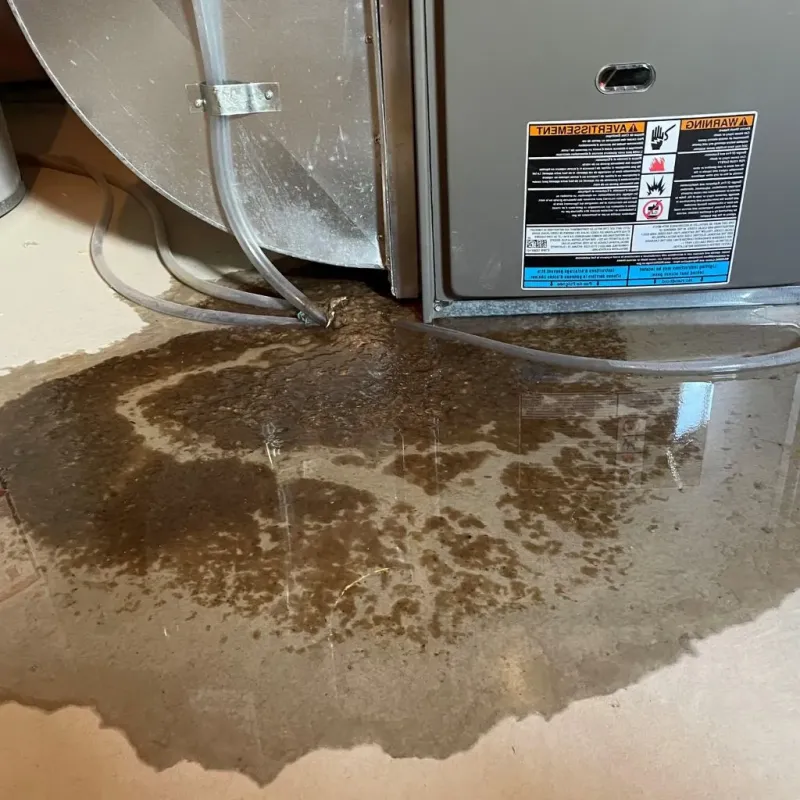 Pipe Burst and Leak Restoration in Park Forest Village, PA